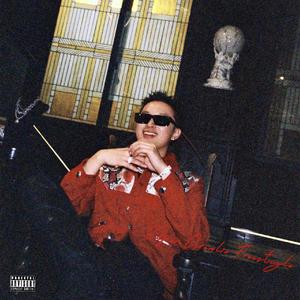 换脸范冰冰最惊艳的图片
