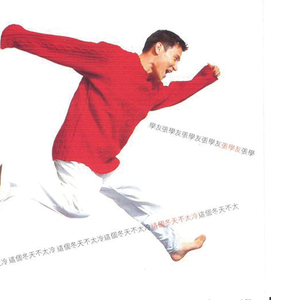 换脸范冰冰最惊艳的图片
